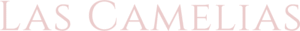 Logo pie de pagina